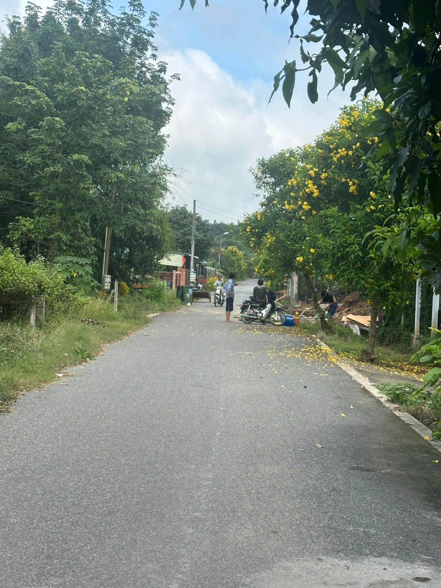 Cần bán đất 175 m2 tại Huyện Bến Cát - Bình Dương, giá 1,27 tỷ