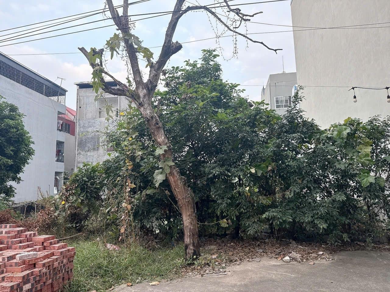 Chuyển nhượng đất 90 m2 tại Thị trấn Gia Bình - Gia Bình - Bắc Ninh, giá rẻ