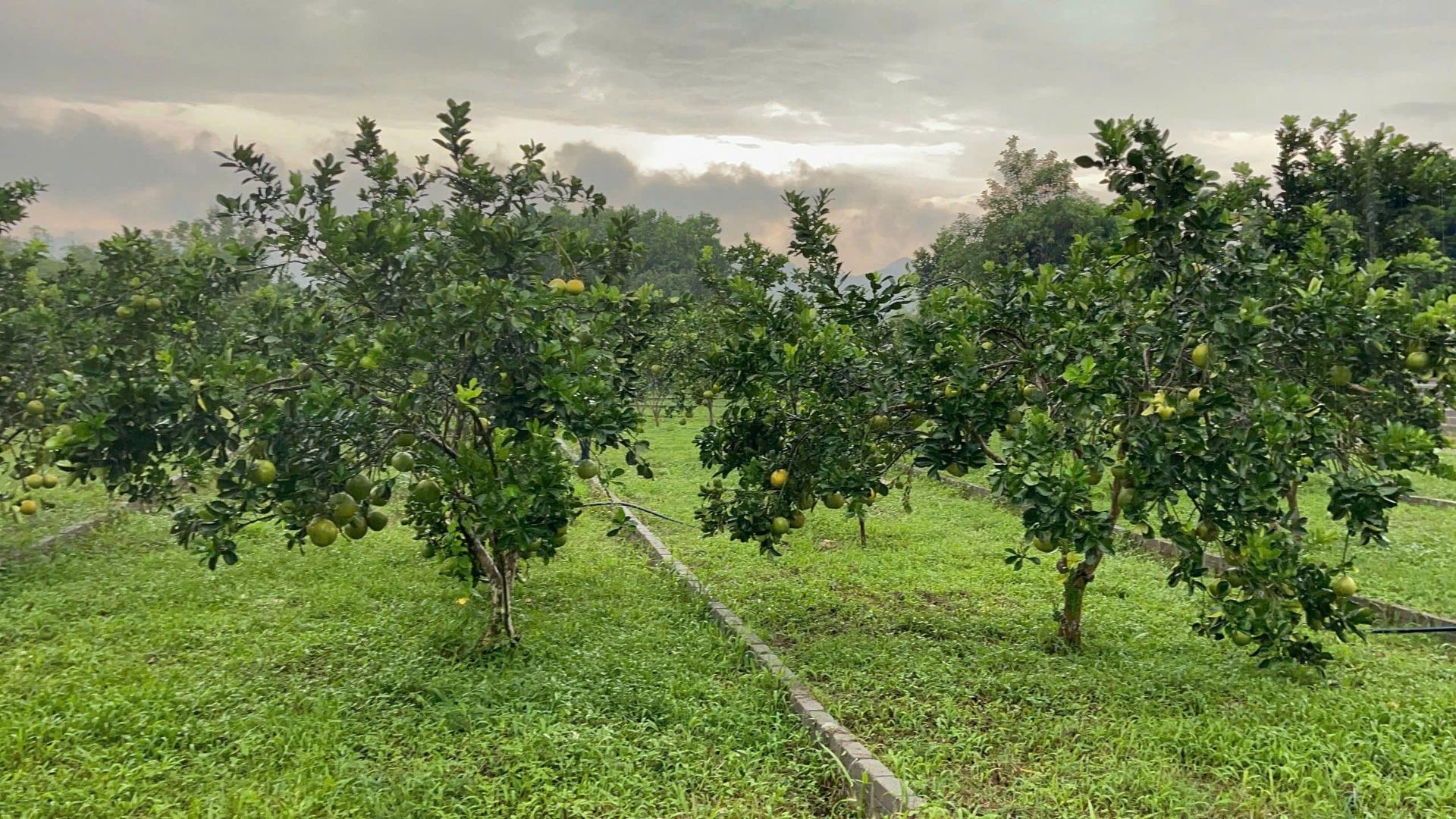 Bán miếng đất 143,8000030517578 m2, hướng Đông-Nam tại Yên Thủy - Hòa Bình, giá 285 triệu