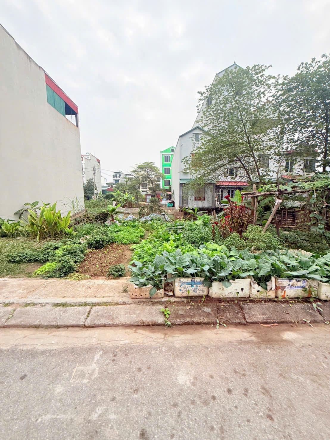 Cần bán gấp nền đất 145 m2 tại Xã Bình Yên - Thạch Thất - Hà Nội, giá 3,75 tỷ