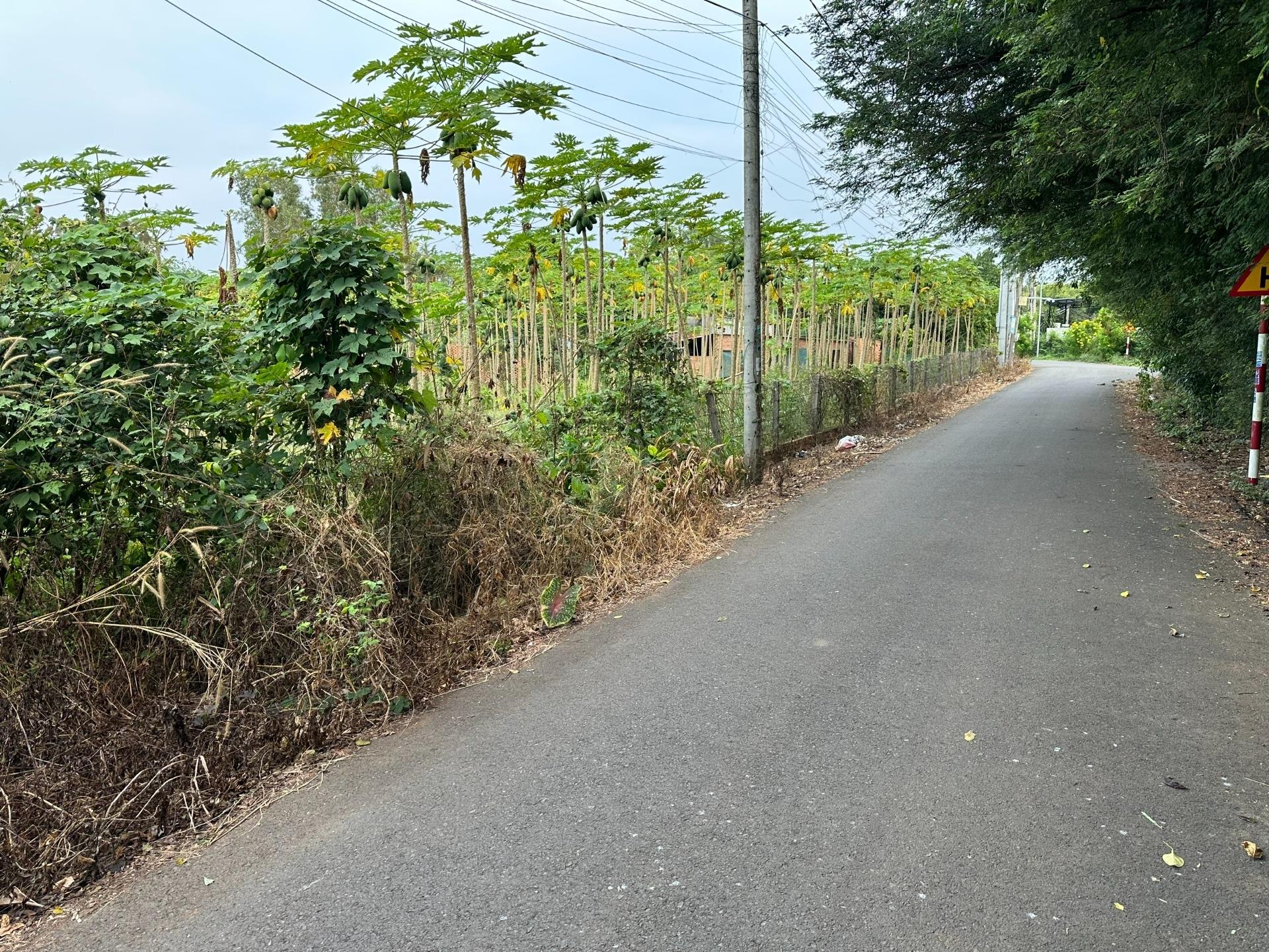 Sở hữu lô đất sổ riêng 13914 m2, hướng Đông-Nam tại Châu Đức - Bà Rịa Vũng Tàu, giá 12,52 tỷ