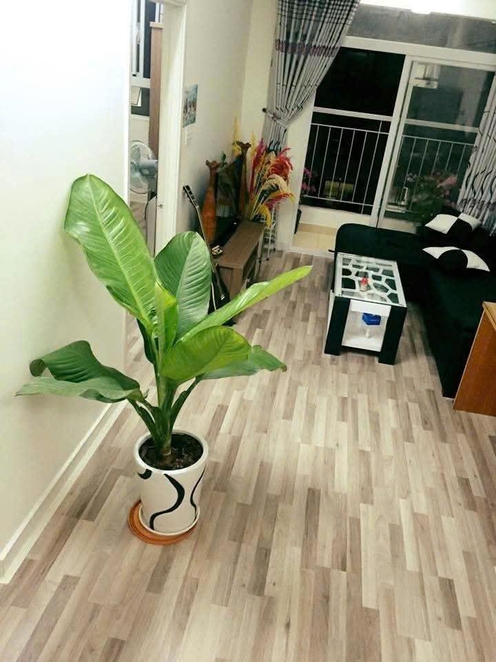 Cần cho thuê gấp căn chung cư 65 m2 tại Đường Phan Văn Hớn - Quận 12, giá 6,5 tr/tháng