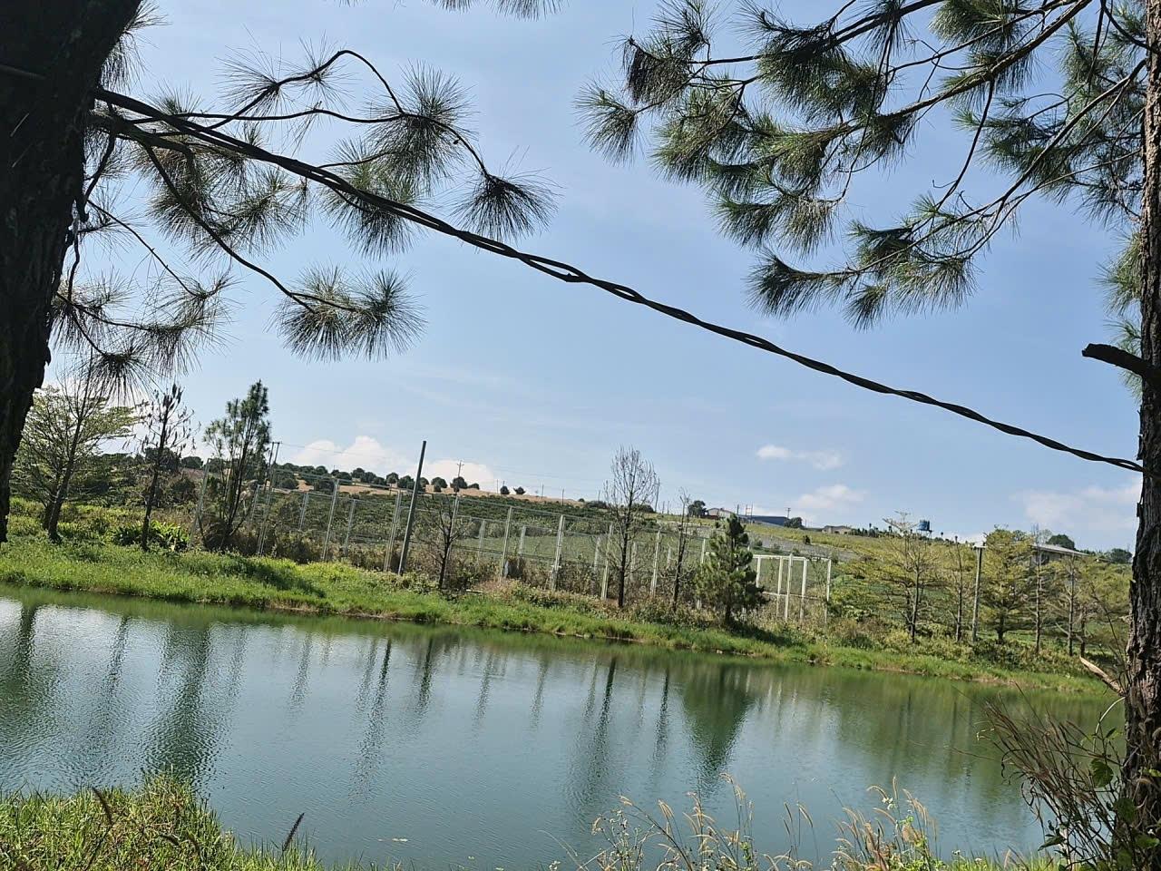 Cần bán gấp đất 102 m2 tại Xã Lộc Tân - Bảo Lâm - Lâm Đồng, giá 599 tr