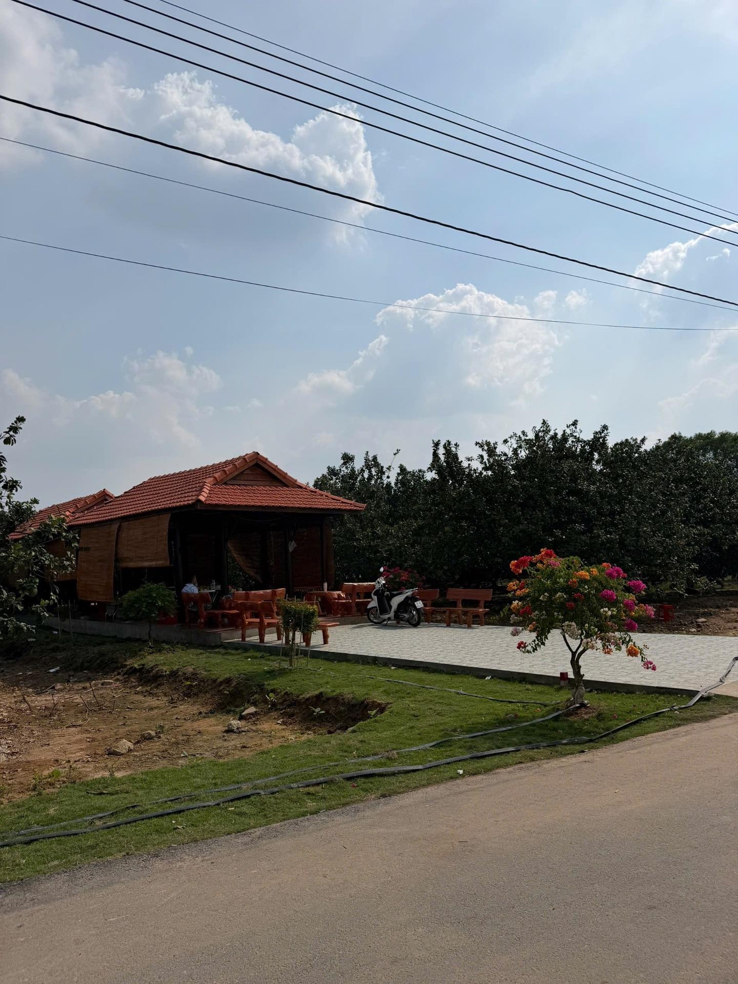 Cần bán ngay đất nền dự án 250 m2, hướng Tây-Bắc tại Bàu Bàng - Bình Dương, thỏa thuận