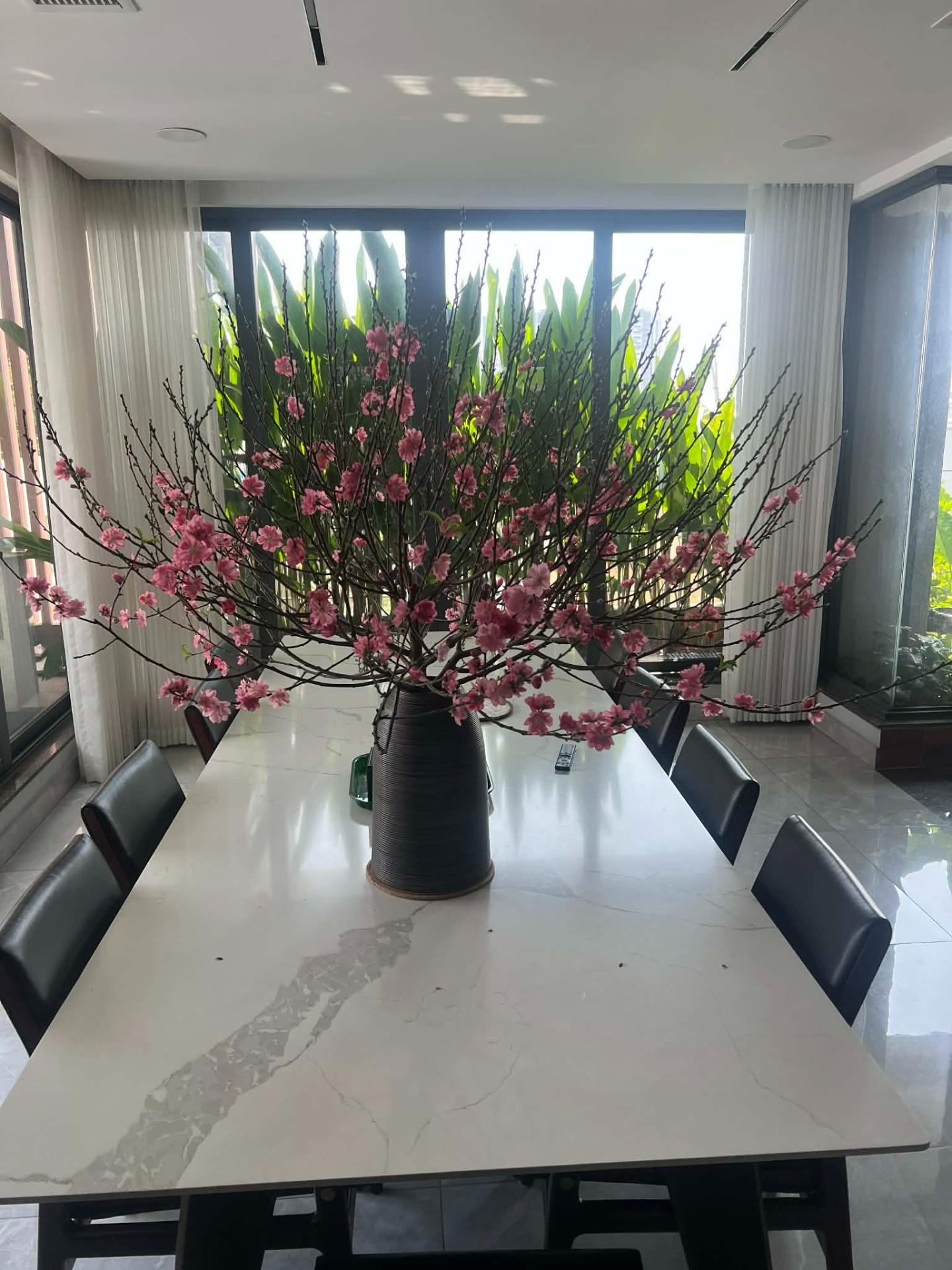 Cần bán ngay căn nhà 200 m2, hướng Tây-Bắc tại Đường Nguyễn Thanh Sơn - Quận 2, giá 122 tỷ