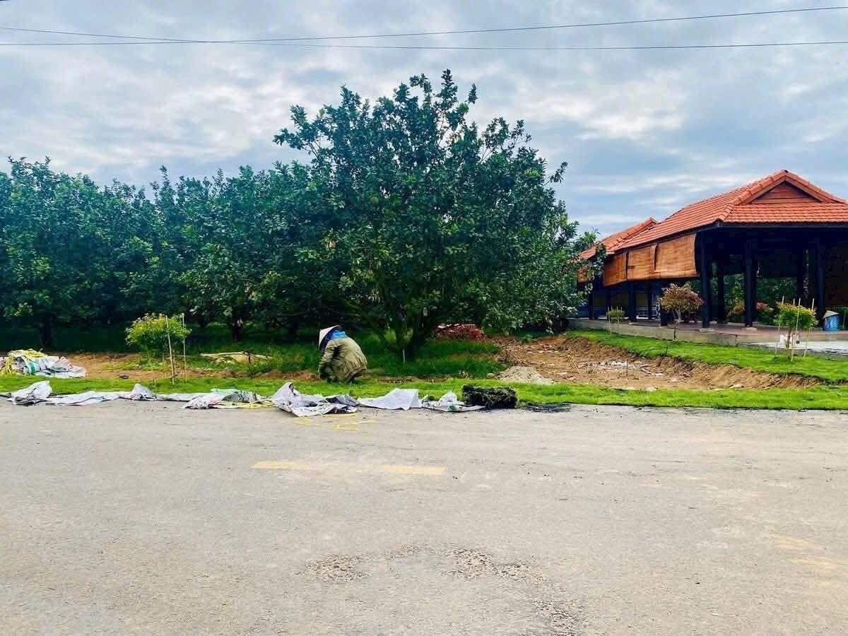 Chuyển nhượng đất 250 m2 tại Đường Quốc Lộ 13 - Trừ Văn Thố - Bàu Bàng - Bình Dương, giá 950 tr