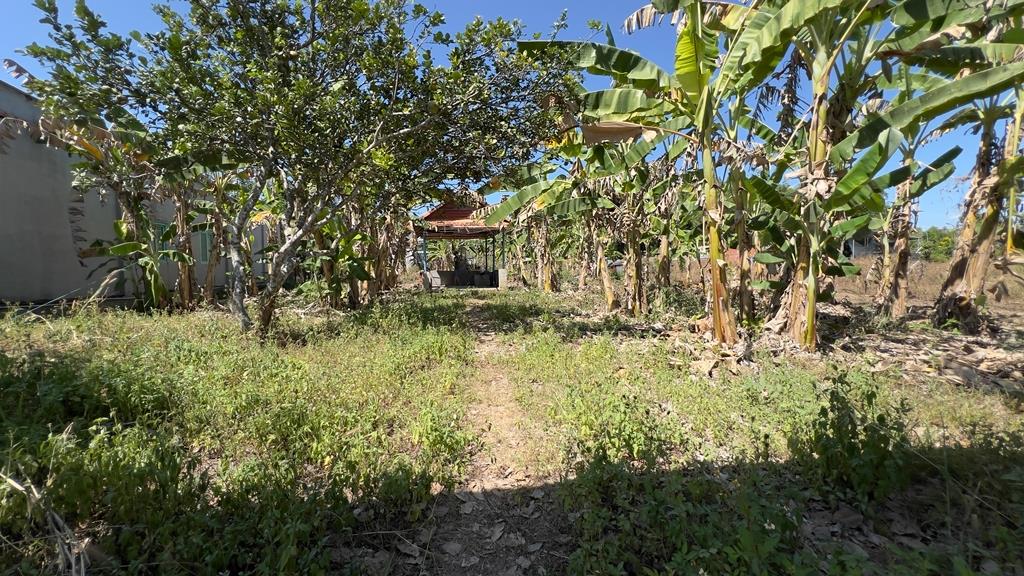 Cần bán nhanh miếng đất 270 m2 tại Phước Vĩnh - Phú Giáo - Bình Dương, giá tốt