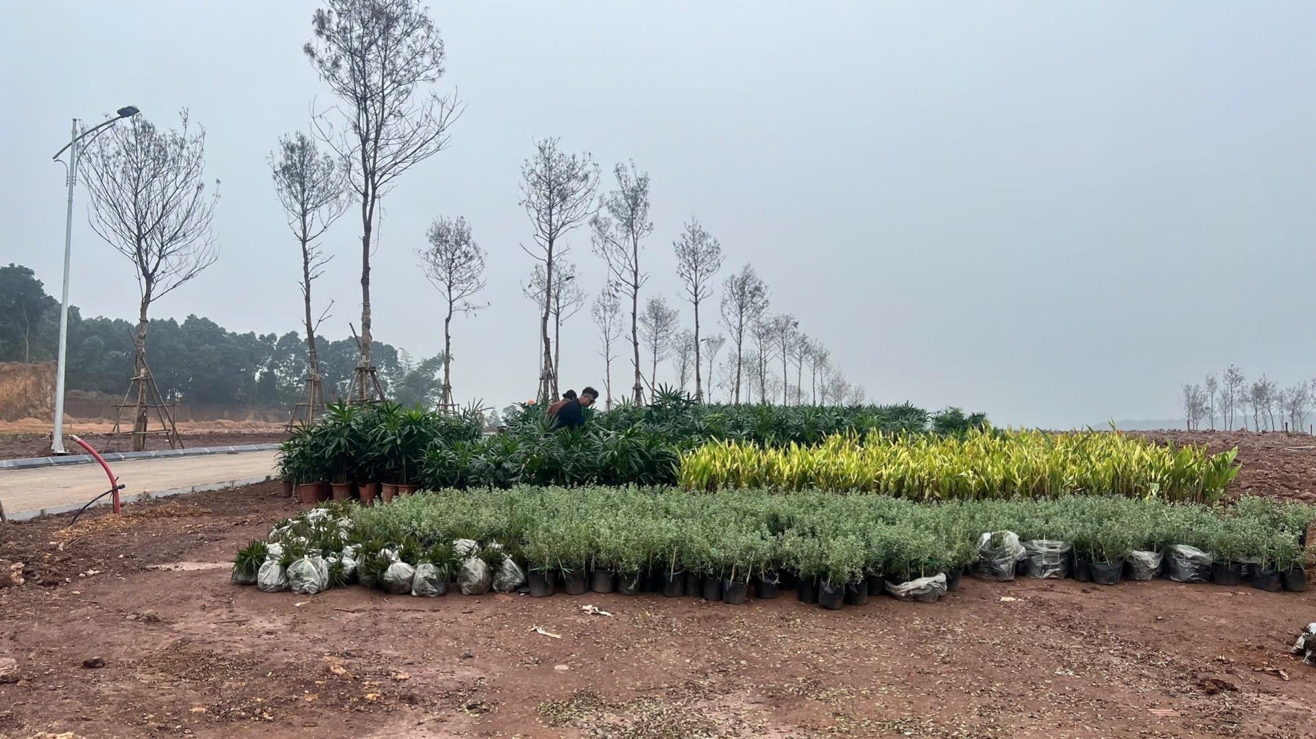 Chuyển nhượng căn nhà phố shophouse 200 m2, giá 5 tỷ tại Xã Phú Thành - Lạc Thủy - Hòa Bình