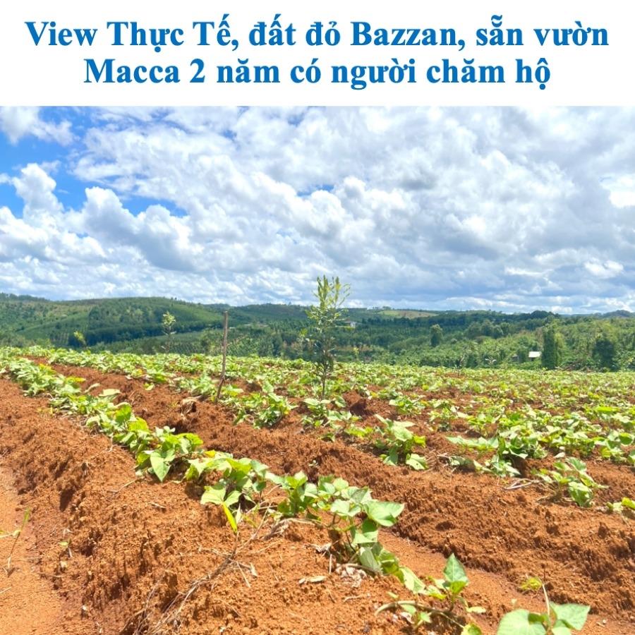 Bán gấp lô đất sổ riêng 1019 m2, hướng Đông tại Xã Đắk RTih - Tuy Đức - Đắk Nông, giá 280 tr