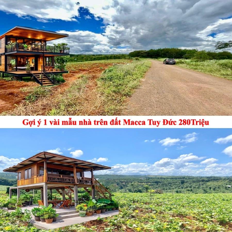 Bán gấp lô đất sổ riêng 1019 m2, hướng Đông tại Xã Đắk RTih - Tuy Đức - Đắk Nông, giá 280 tr