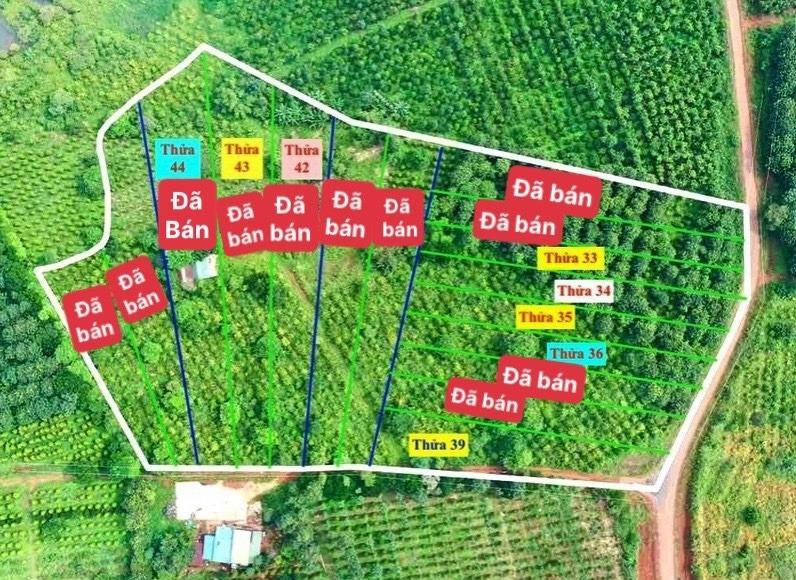 Bán gấp lô đất sổ riêng 1019 m2, hướng Đông tại Xã Đắk RTih - Tuy Đức - Đắk Nông, giá 280 tr