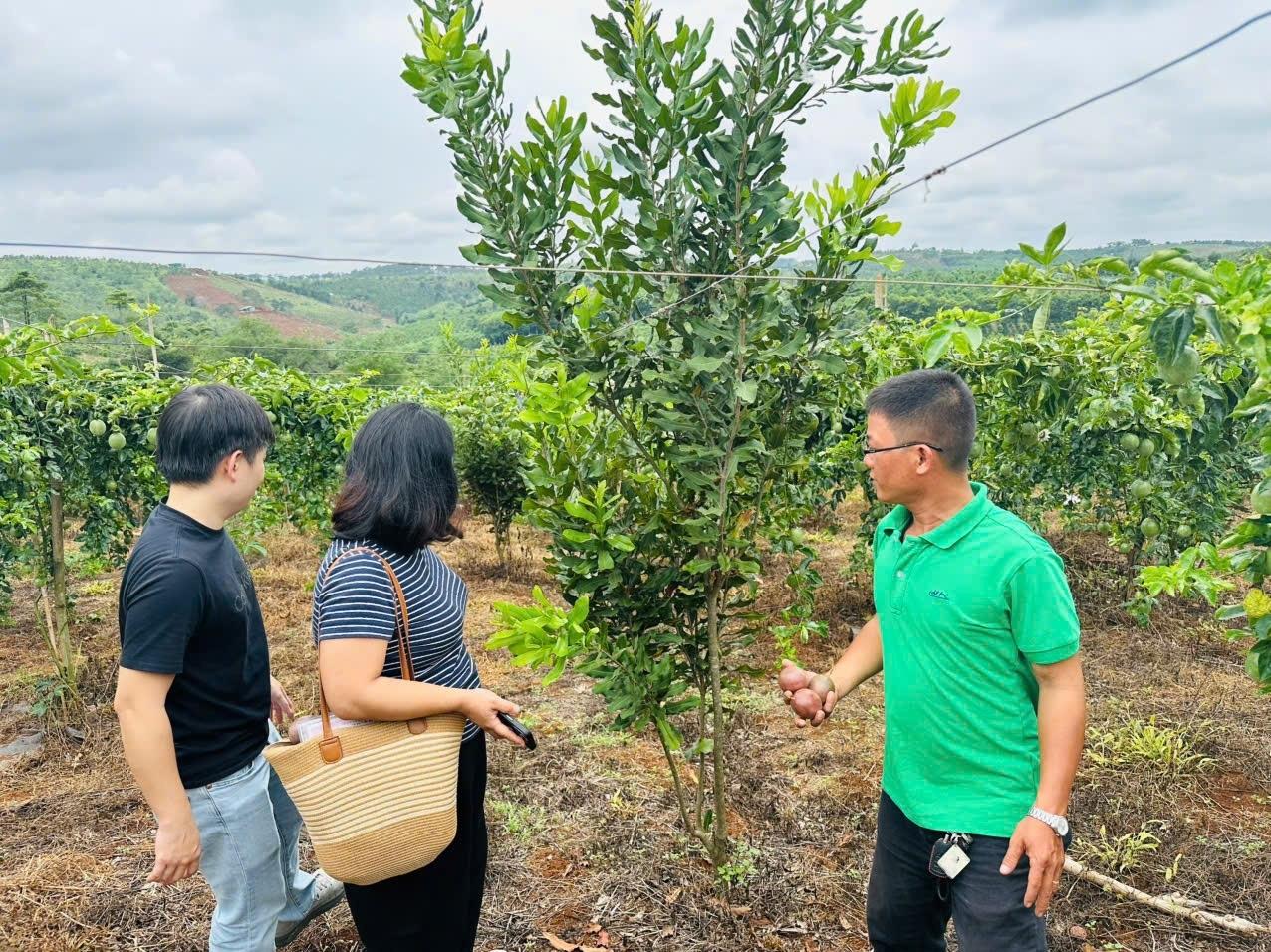 Bán gấp lô đất sổ riêng 1019 m2, hướng Đông tại Xã Đắk RTih - Tuy Đức - Đắk Nông, giá 280 tr