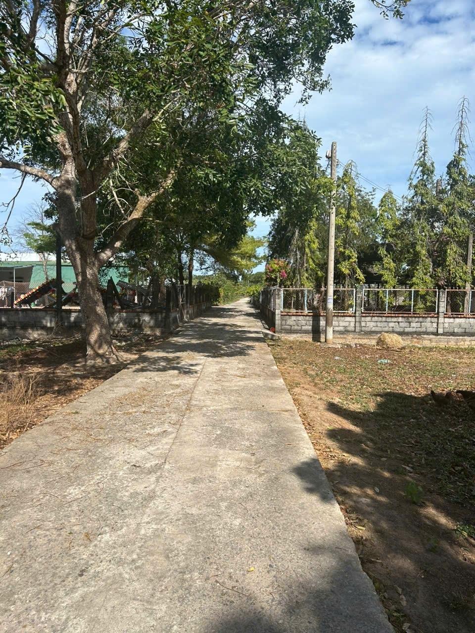 Sở hữu lô đất sổ riêng 520 m2, hướng Nam tại Tân Phước - La Gi - Bình Thuận, giá 2,1 triệu