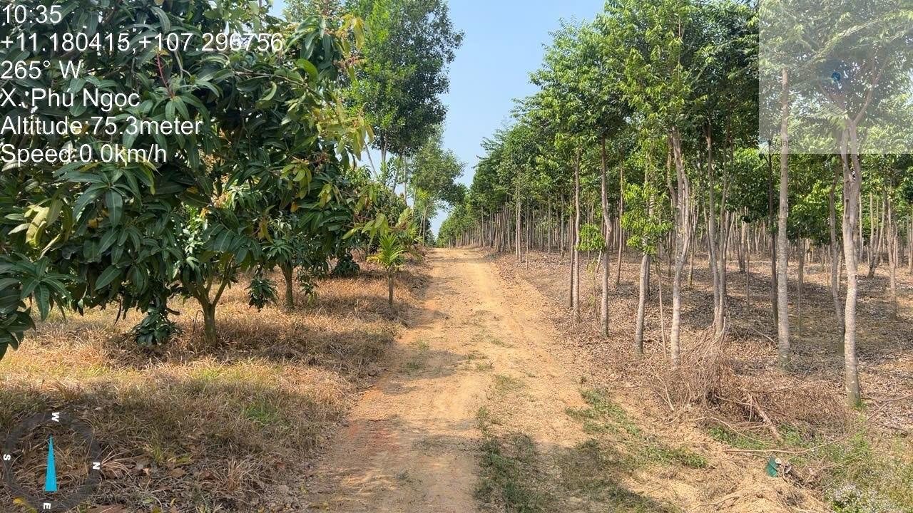 Sở hữu ngay đất 19157 m2 tại Xã Phú Ngọc - Định Quán - Đồng Nai, giá 22 tỷ