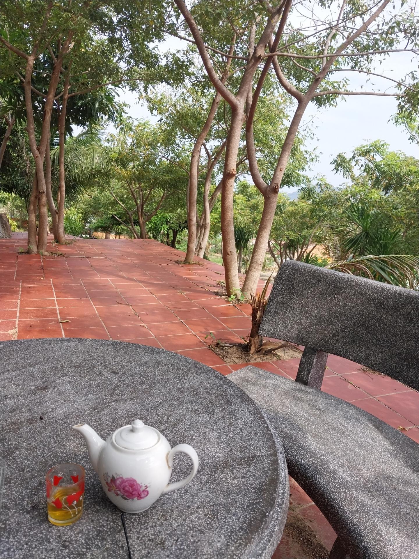 Bán đất đang xây dựng mô hình kinh doanh du lịch homestay