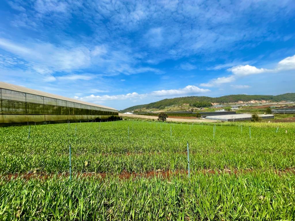 Sở hữu nền đất 2410 m2 tại Xã Đạ Ròn - Đơn Dương - Lâm Đồng, giá 6,5 tỷ