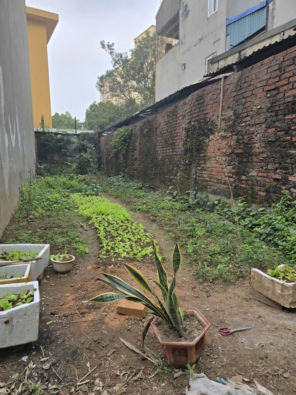 Bán lô đất nền 61,5 m2 tại Phường Việt Hưng - Long Biên - Hà Nội, giá 8,3 tr