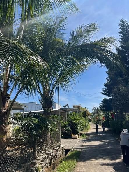 Cần bán nhanh nhà riêng sổ đỏ 738 m2 tại Phường B'Lao - Bảo Lộc - Lâm Đồng, giá 4,95 tỷ