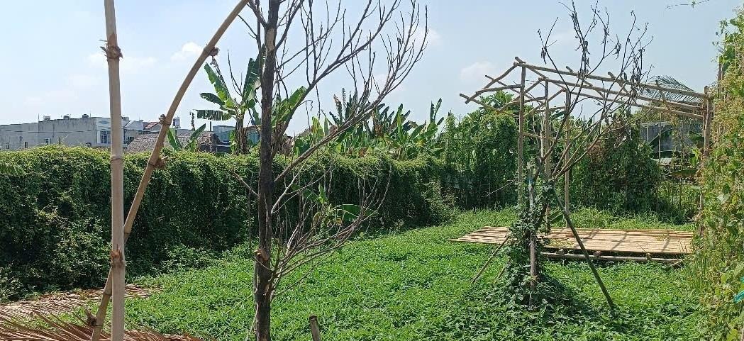 Cần bán gấp bán nhanh đất nền 250 m2 tại Bình Mỹ - Củ Chi - TP Hồ Chí Minh, giá 990 triệu