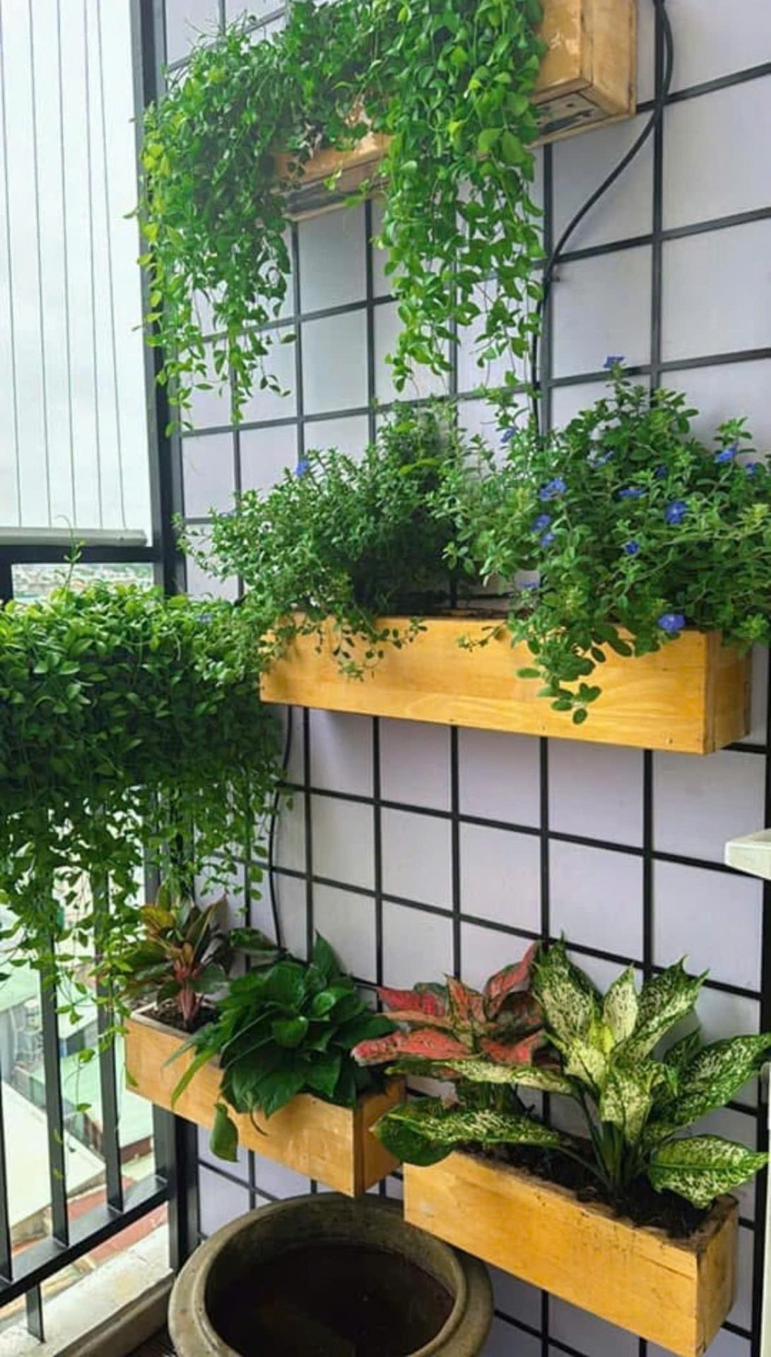 Cho thuê chung cư 78 m2 tại Đường Trịnh Đình Thảo - Tân Phú - TP Hồ Chí Minh, giá 11 triệu/tháng