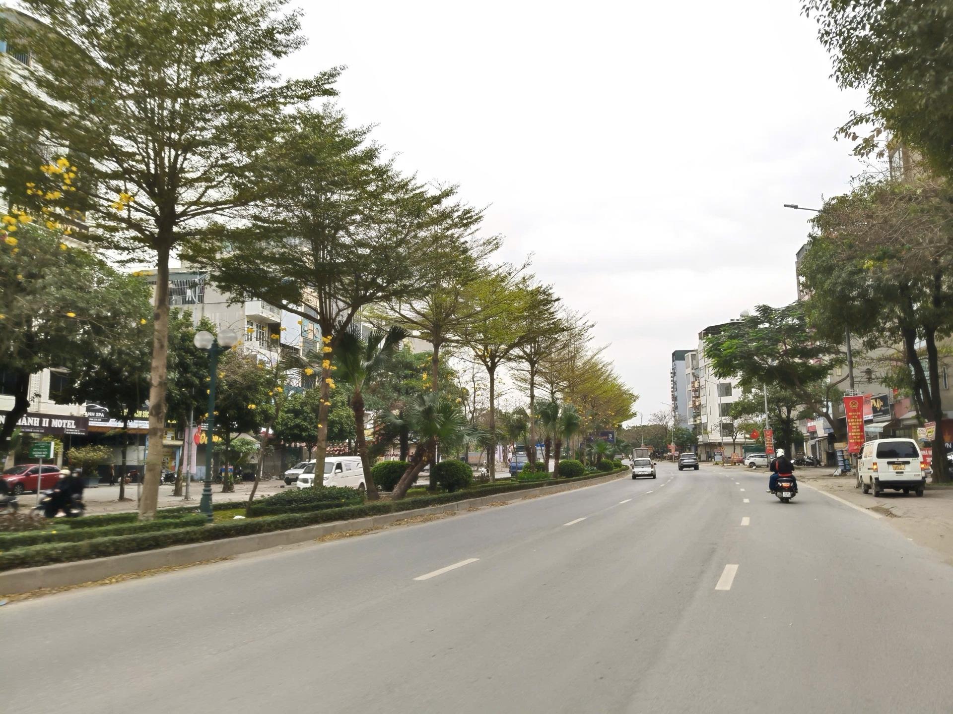 Bán gấp lô đất nền 50 m2, hướng Tây-Nam tại Phường Dương Nội - Hà Đông - Hà Nội, giá 14,89 tỷ