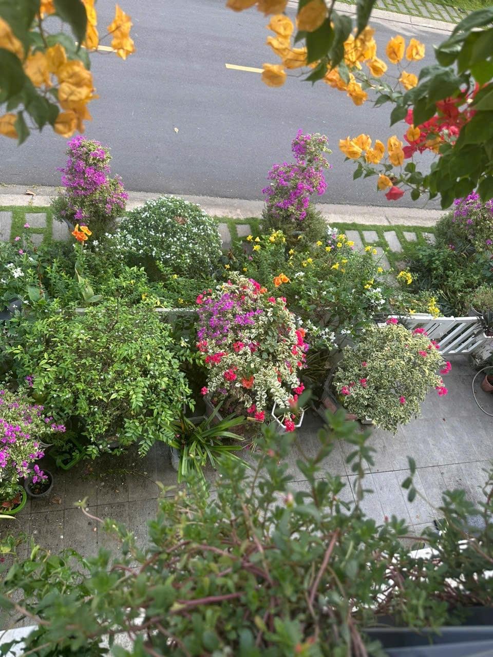 Cần bán nhà phố 175 m2, hướng Tây-Bắc tại Đường Trịnh Quang Nghị - Bình Chánh, giá 15,7 tỷ