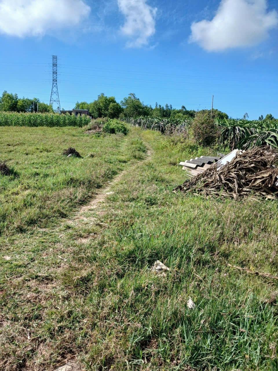 Bán nền đất 1324,199951171875 m2 tại Xã Tân Bình - La Gi - Bình Thuận, giá 500 triệu