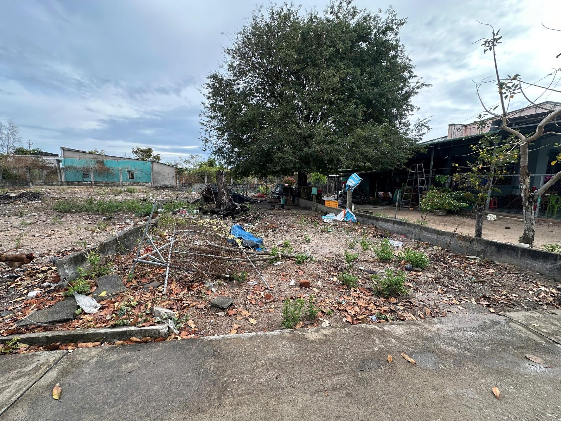 Bán gấp đất nền 160 m2, hướng Tây-Bắc tại Tân Tiến - La Gi - Bình Thuận, giá 800 triệu