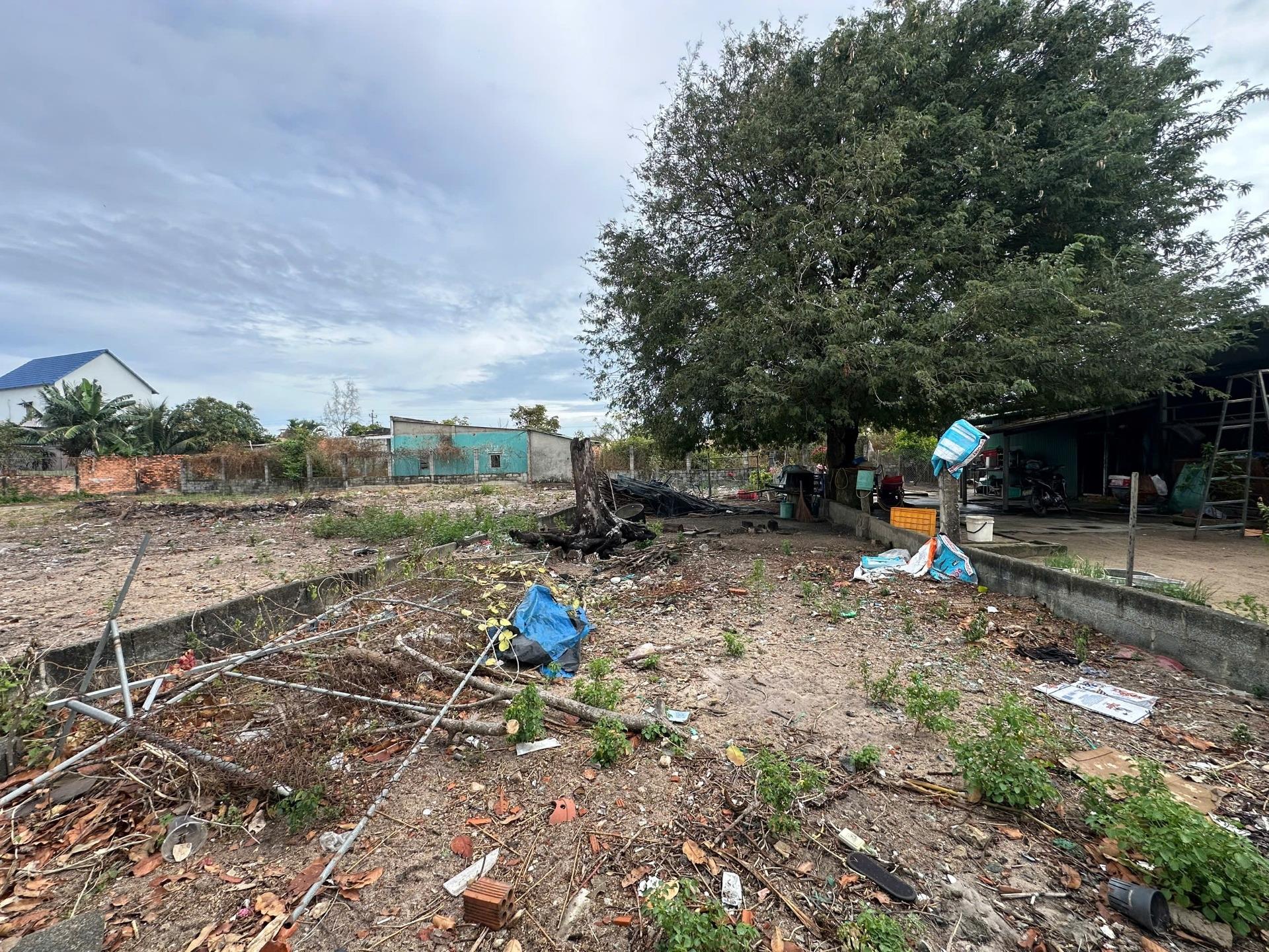 Bán gấp đất nền 160 m2, hướng Tây-Bắc tại Tân Tiến - La Gi - Bình Thuận, giá 800 triệu