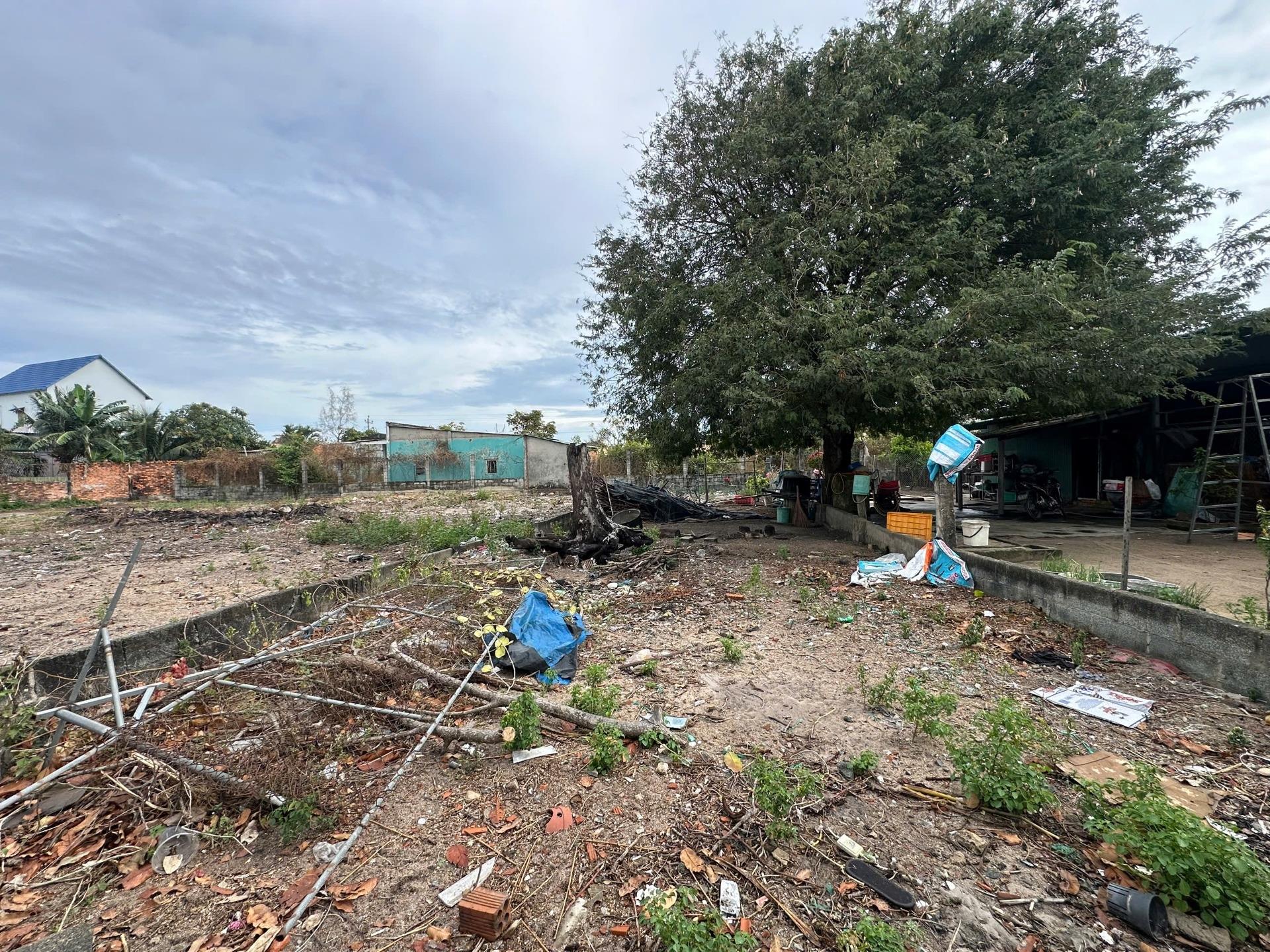 Bán gấp đất nền 160 m2, hướng Tây-Bắc tại Tân Tiến - La Gi - Bình Thuận, giá 800 triệu