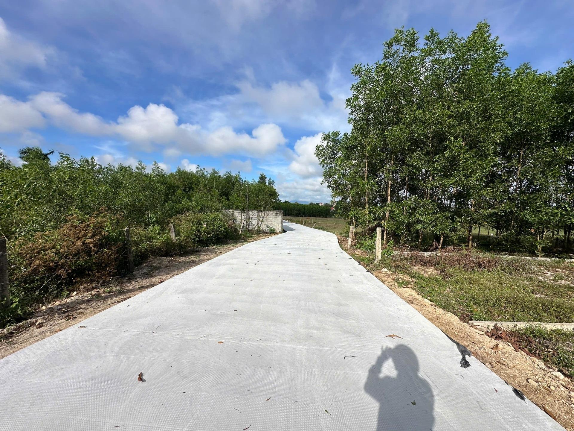 Cần bán gấp lô đất 126 m2, hướng Tây-Bắc tại Tân An - La Gi - Bình Thuận, giá 700 tr