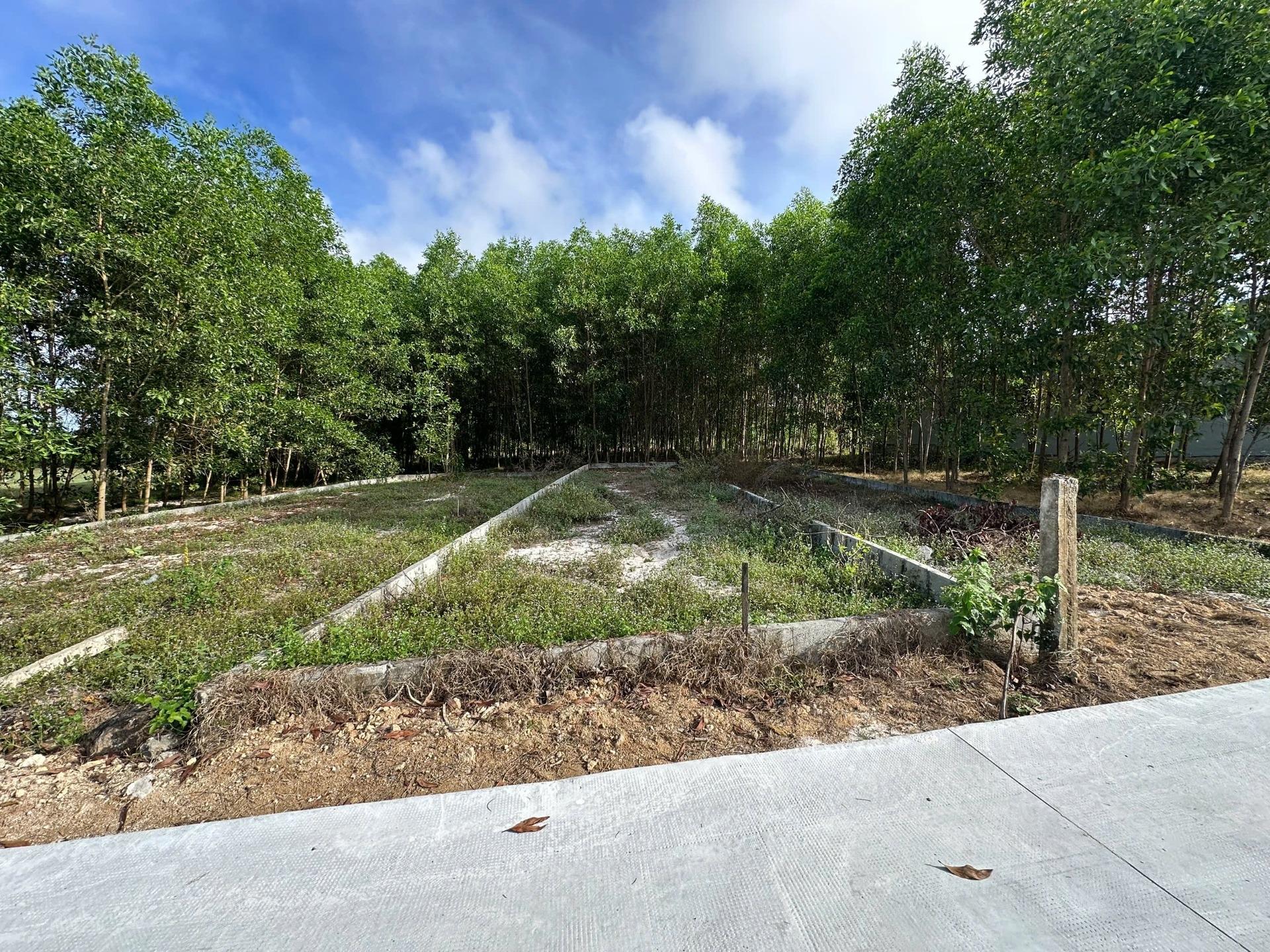 Cần bán gấp lô đất 126 m2, hướng Tây-Bắc tại Tân An - La Gi - Bình Thuận, giá 700 tr