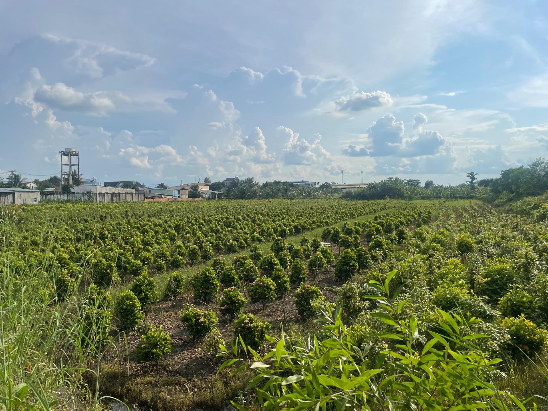 Cần bán gấp nền đất 12000 m2 tại Đường Kênh 7 - Bình Lợi - Bình Chánh - TP Hồ Chí Minh, giá 36 tỷ