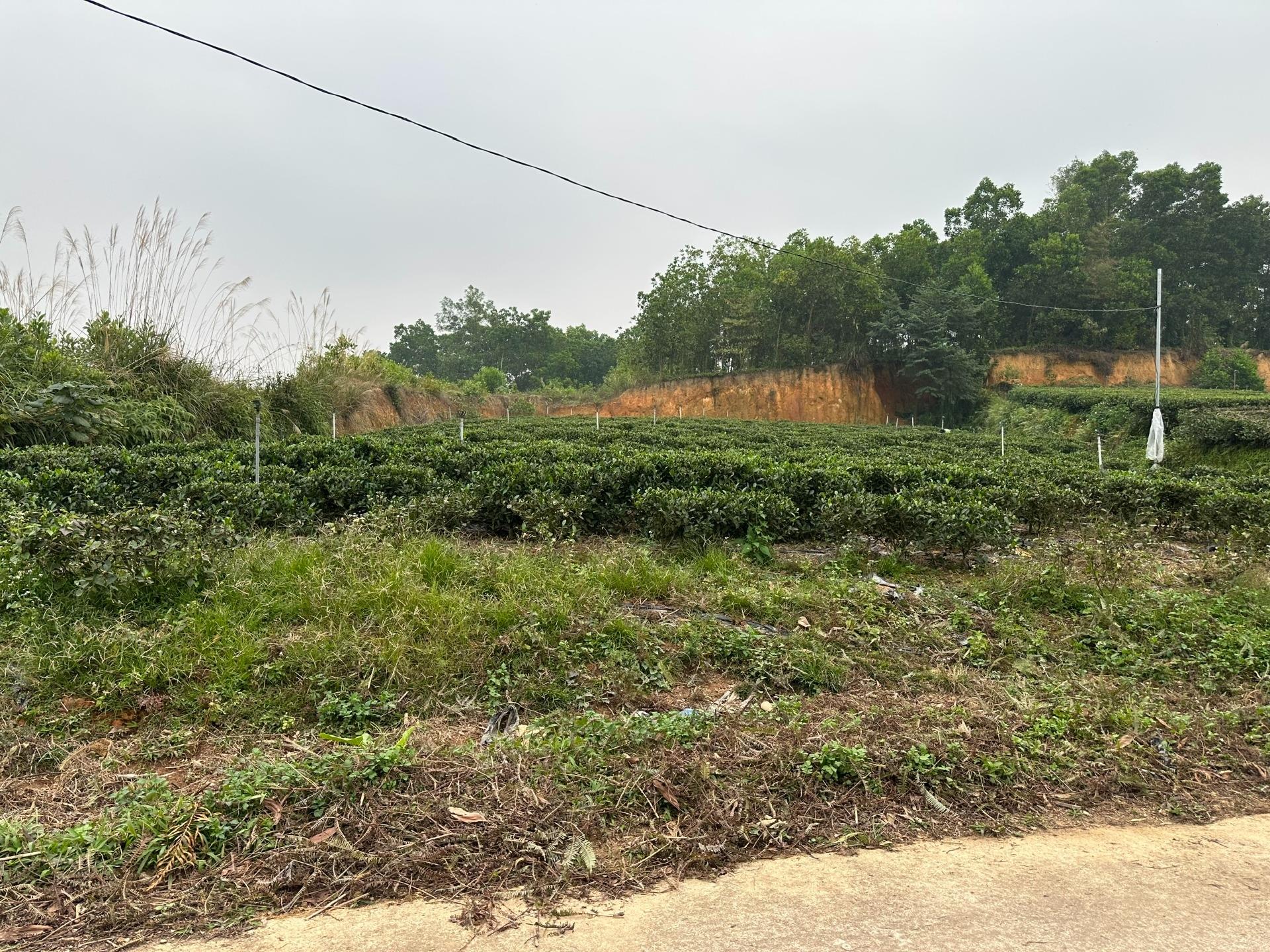 Sở hữu ngay lô đất 176,3000030517578 m2 tại Xã Phúc Trìu - Thái Nguyên - Thái Nguyên, giá 1,79 tỷ