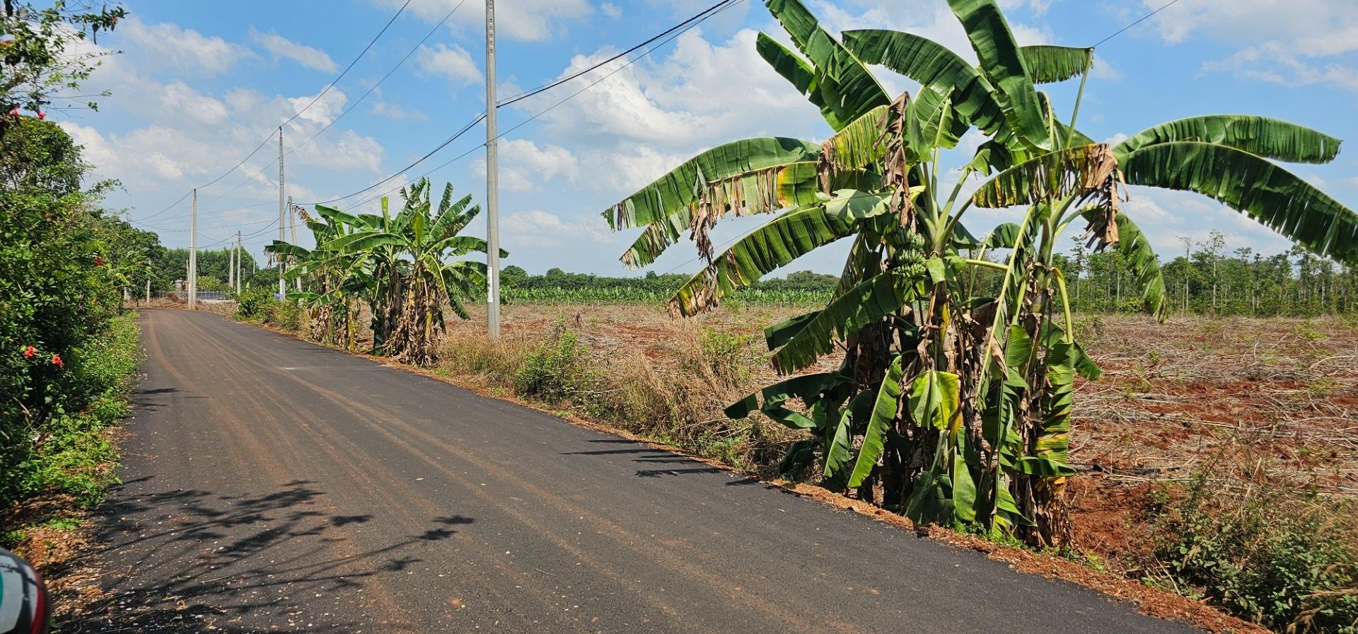 Bán nhanh đất 8015 m2 tại Xã Láng Lớn - Châu Đức - Bà Rịa Vũng Tàu, giá 8,5 tỷ