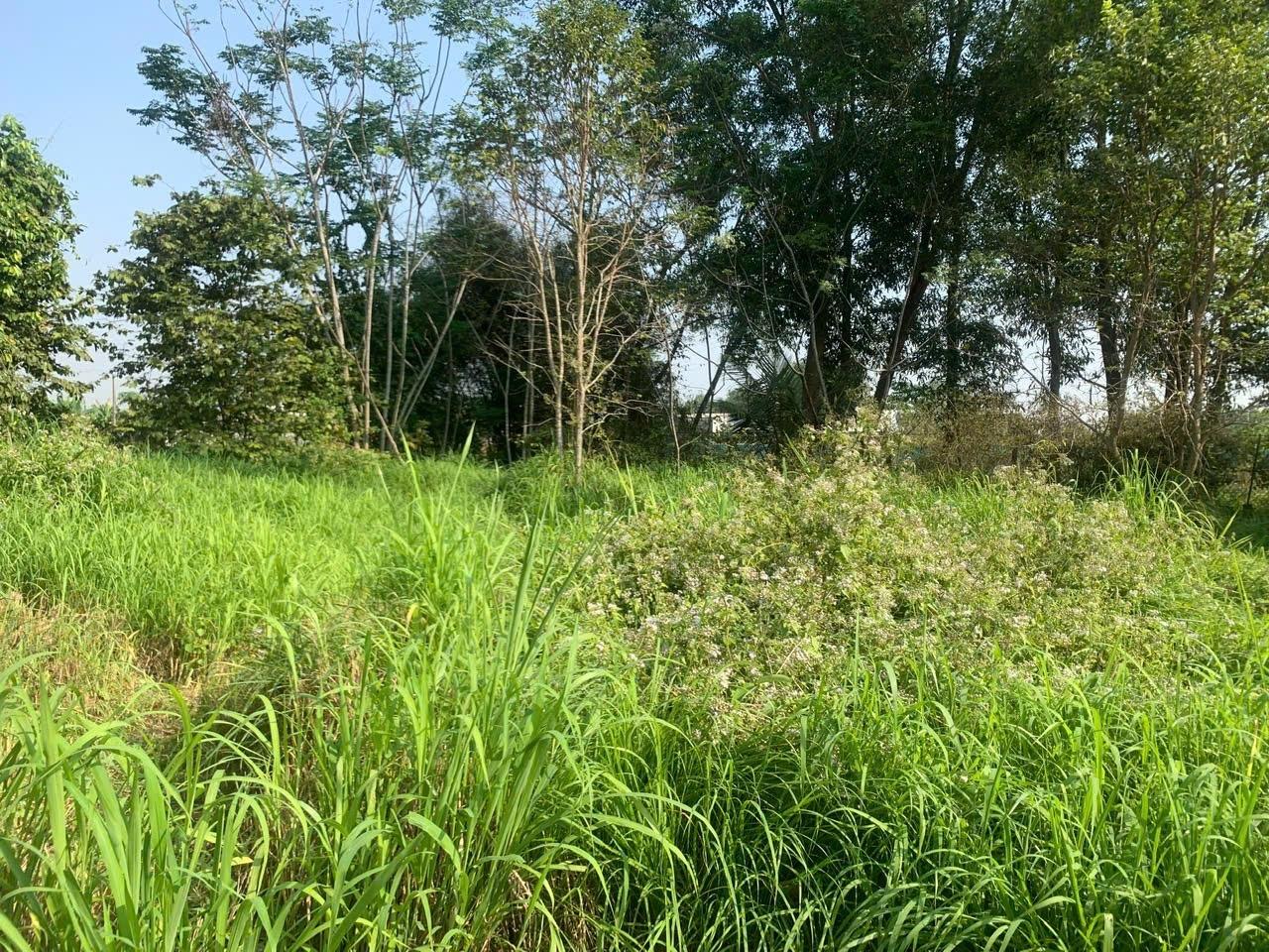 Bán nhanh đất nền 72 m2, hướng Tây-Bắc tại Xã Vĩnh Thanh - Nhơn Trạch - Đồng Nai, giá 1,3 tỷ