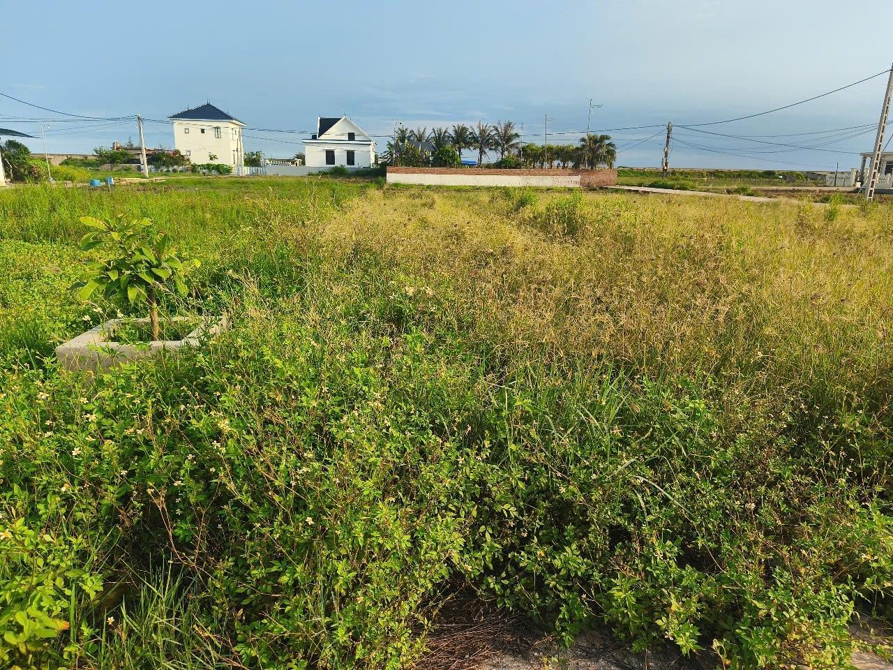 Cần bán mảnh đất 100 m2 tại Thị trấn Quất Lâm - Giao Thủy - Nam Định, giá 3 tỷ