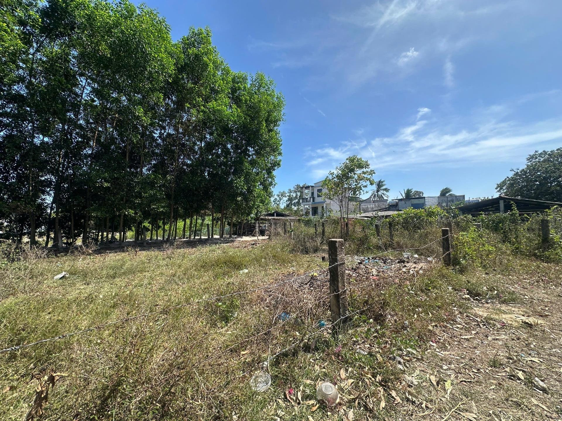 Cần bán lô đất nền 1139 m2, hướng Đông-Bắc tại Xã Tân Bình - La Gi - Bình Thuận, giá 2,2 tỷ