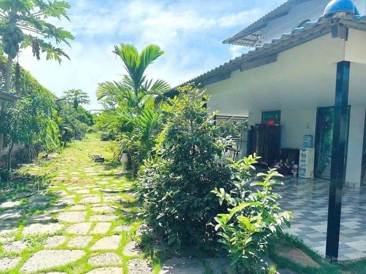 Cần bán ngay lô đất 2500 m2 tại Đường DH508 - Phước Vĩnh - Phú Giáo - Bình Dương, giá 550 tr