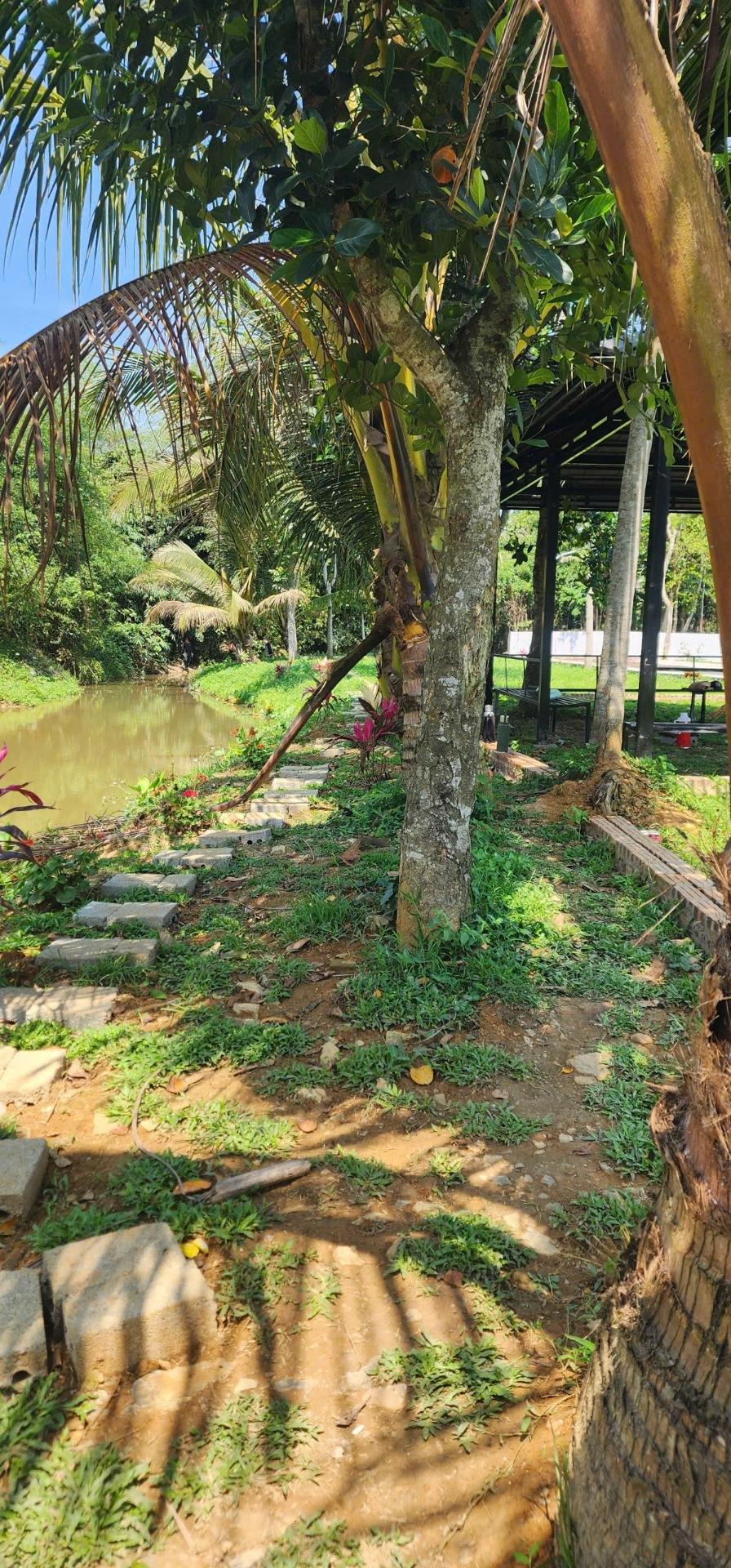 Sở hữu nền đất 60 m2 tại Huyện Kim Bôi - Hòa Bình, giá 330 triệu