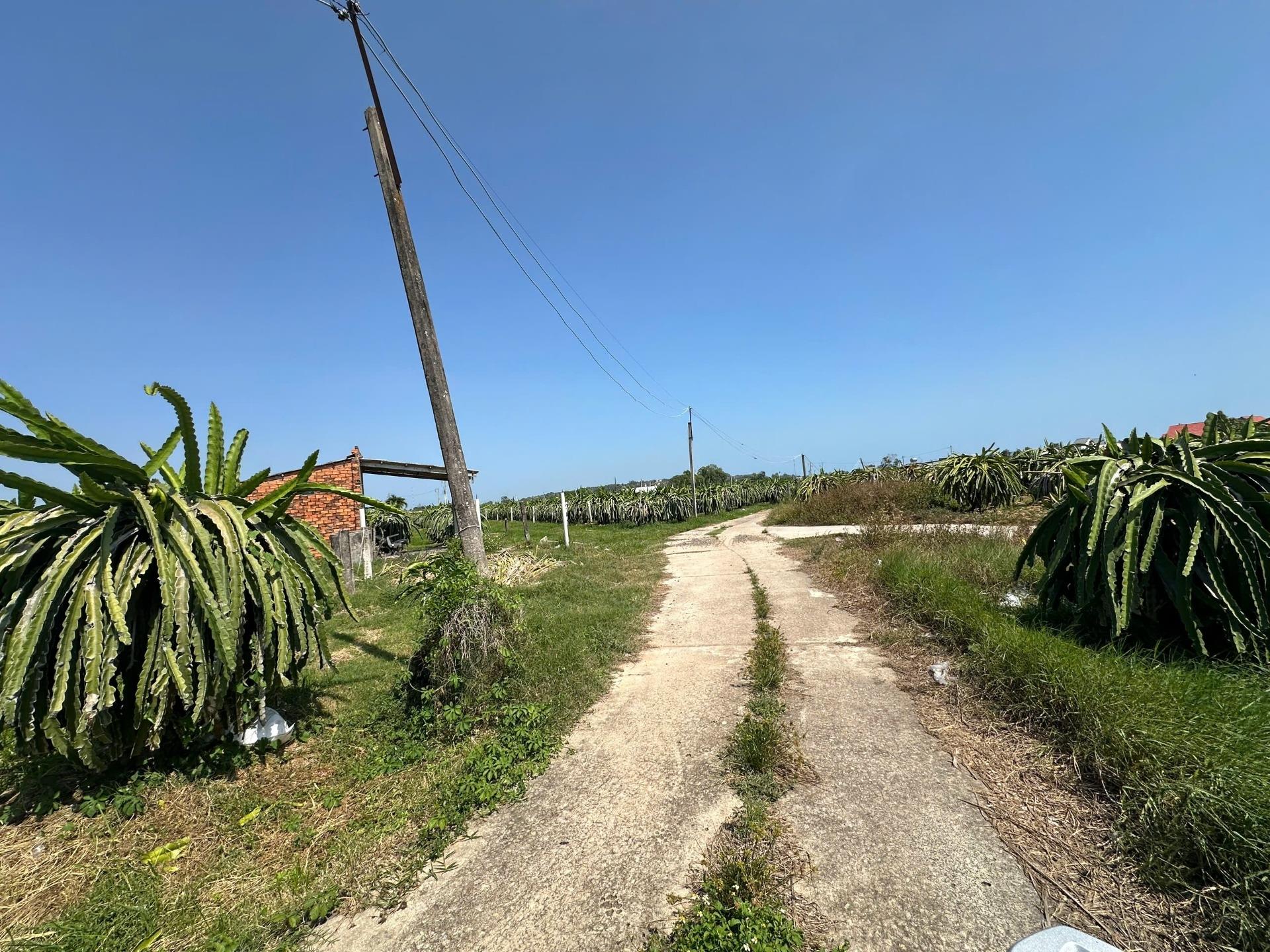 Bán nhanh lô đất 4000 m2, hướng Tây-Nam tại Tân Tiến - La Gi - Bình Thuận, giá 2,85 tỷ