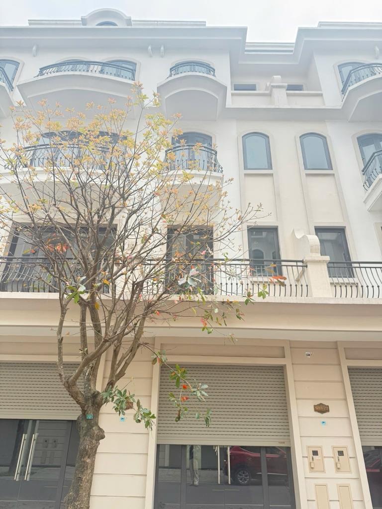 Cần bán gấp bán nhanh shop house 56 m2, giá 8,05 tỷ tại Xã Long Hưng - Văn Giang - Hưng Yên