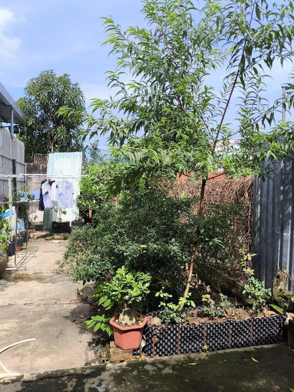 Cần bán gấp bán nhanh nhà sổ riêng 136 m2, hướng Nam tại Xã Long Hậu - Cần Giuộc, giá 1,95 tỷ