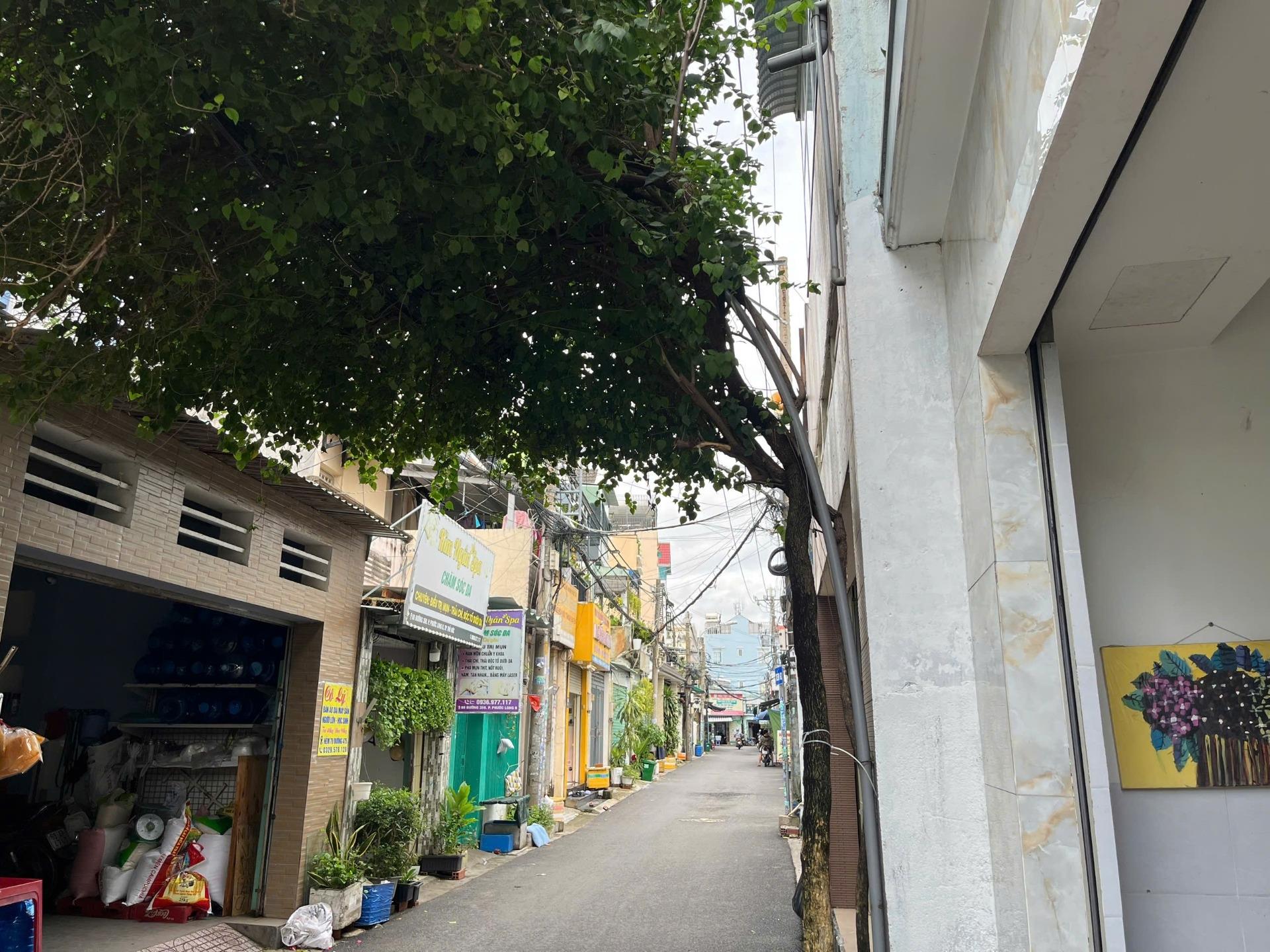 Chuyển nhượng nhà sổ riêng 33 m2 tại Quận Thủ Đức - TP Hồ Chí Minh, giá 4,95 tỷ