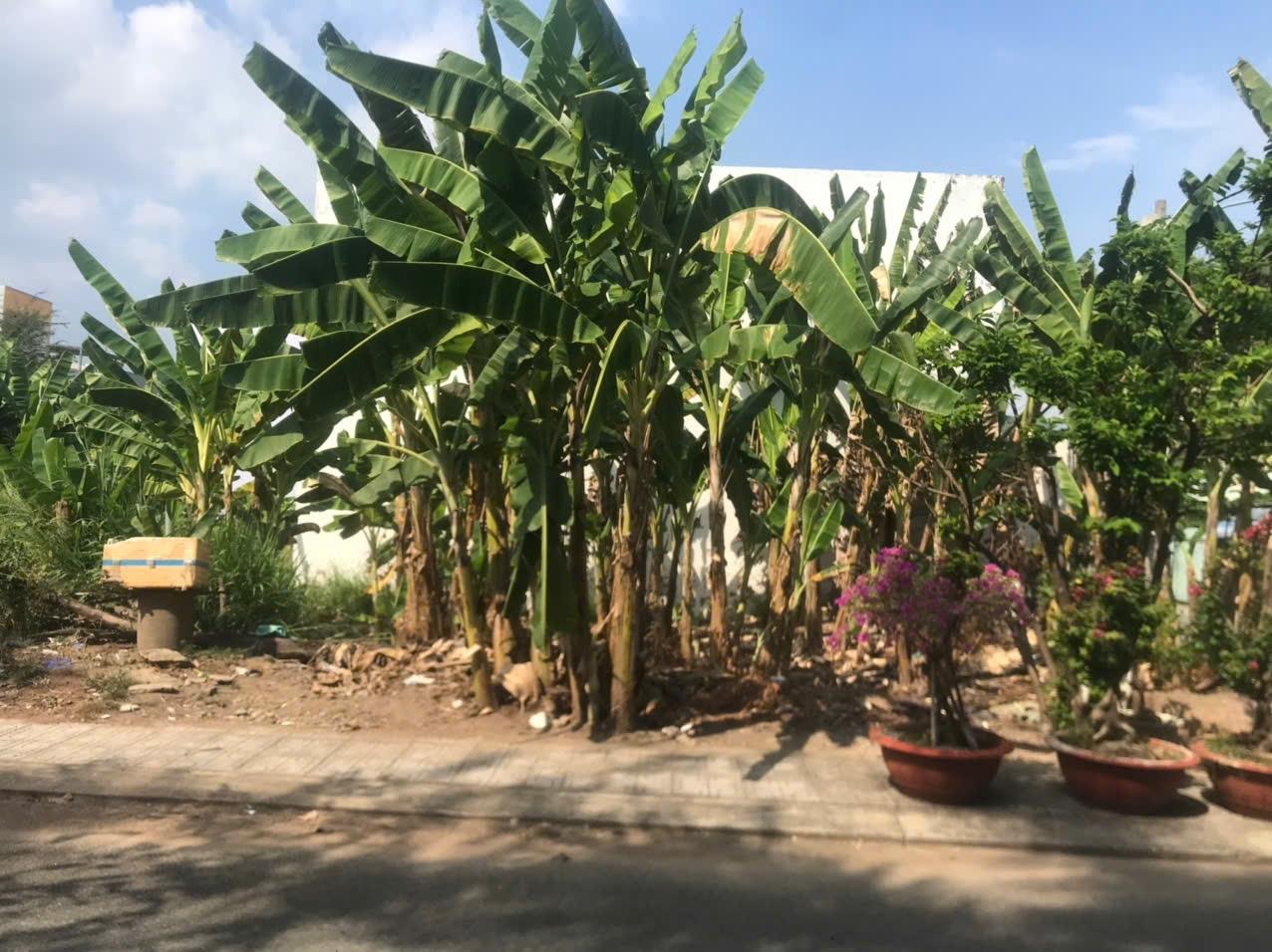 Cần bán nhanh đất nền 486 m2 tại Phường Trường Thạnh - Quận 9 - TP Hồ Chí Minh, giá 33 tỷ