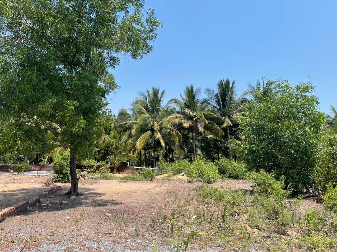 Chuyển nhượng lô đất sổ riêng 219 m2, hướng Đông-Nam tại Nhơn Trạch - Đồng Nai, giá 4,6 tỷ