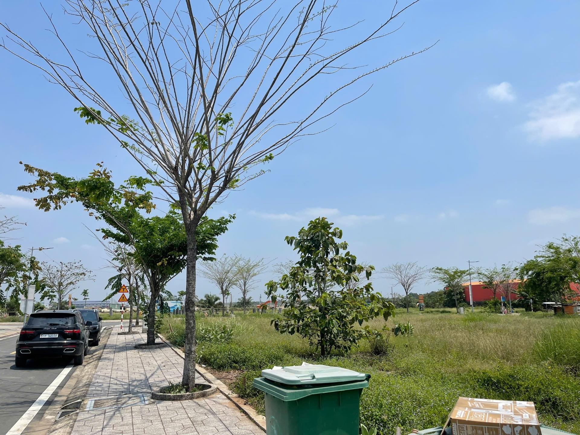 Cần bán gấp nền đất 90 m2, hướng Tây tại Đường 10 - Đức Hoà Đông - Đức Hòa - Long An, giá 2,57 tỷ