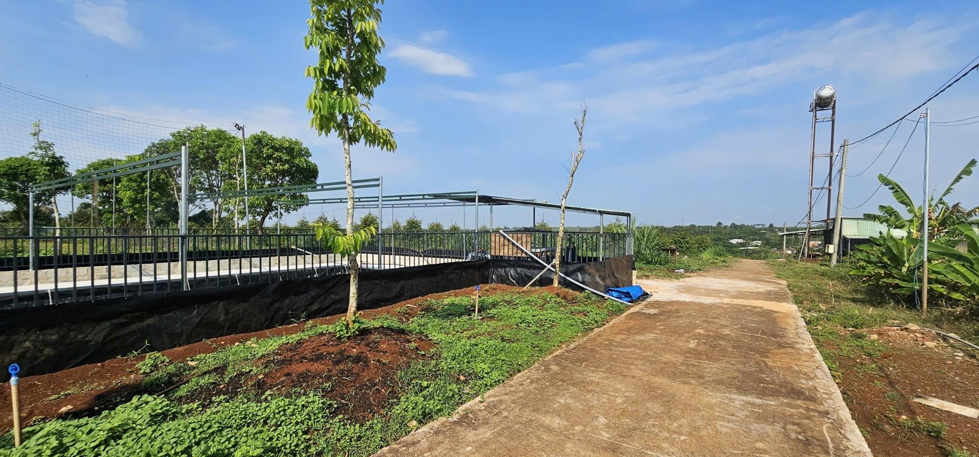 Cần bán gấp miếng đất 80000 m2 tại Xã Bàu Chinh - Châu Đức - Bà Rịa Vũng Tàu, giá 7,5E-05 tr