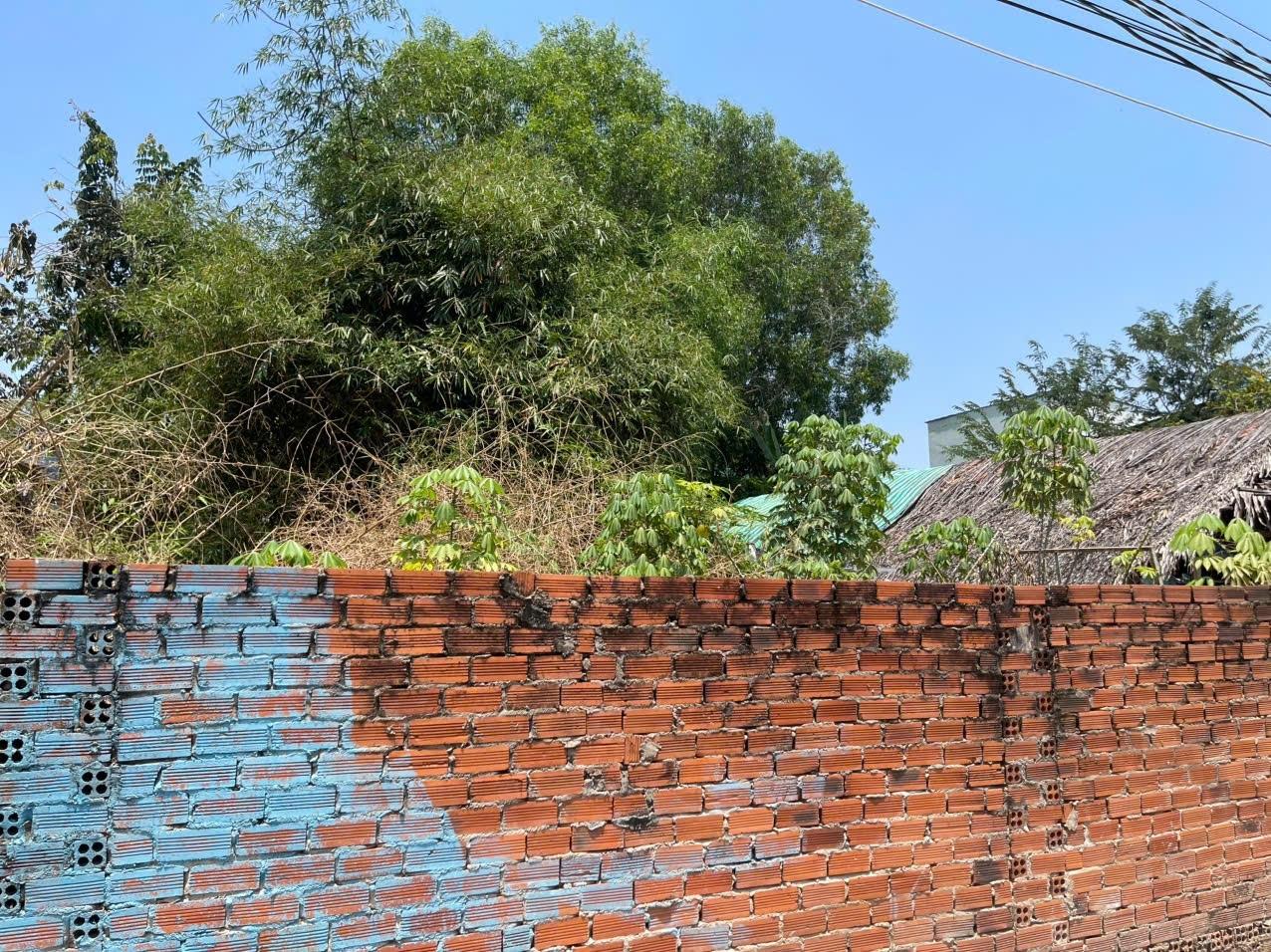 Cần bán gấp lô đất nền 341 m2, hướng Đông-Nam tại Đại Phước - Nhơn Trạch - Đồng Nai, giá 5,5 tỷ