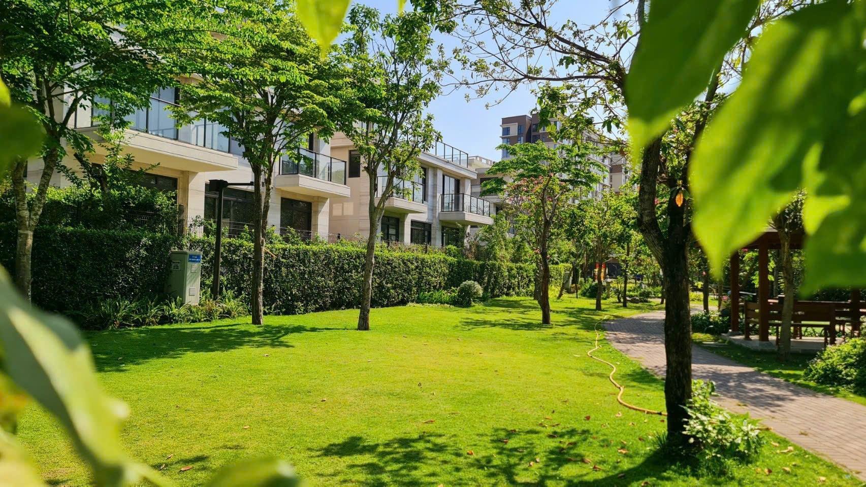 Chuyển nhượng căn hộ 59 m2, giá 4,1 tỷ tại Đường Nguyễn Văn Linh - Bình Chánh - TP Hồ Chí Minh